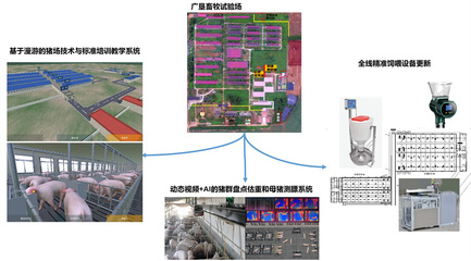 打造生豬全產(chǎn)業(yè)鏈數(shù)字化技術(shù)產(chǎn)品創(chuàng)新綜合體